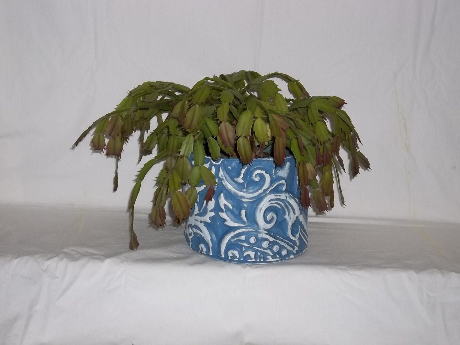 NICE LOOK'IN  old tin plant holder