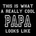Customized Shirt This is What a Really Cool Grandpa Looks Like