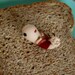 Bacon Baby Embryo Ornament