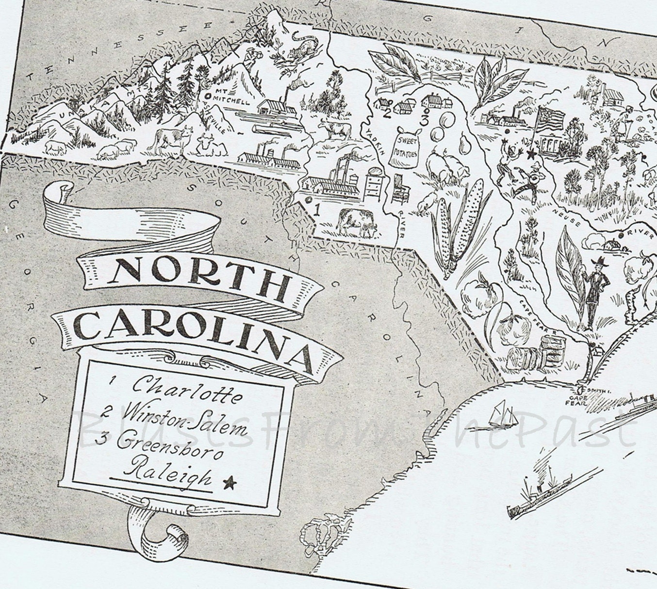 Vintage MAP of NORTH CAROLINA Vintage print -- Whimsical, Adorable, Beautifully Illustrated, Perfect for Framing, Raleigh, Charlotte