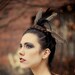 Crown of Love VI - Black feathered headpiece - captured wild