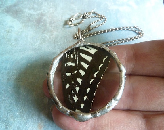 Real Butterfly Wing Pendant Necklace. Black Swallowtail. Butterfly Wing Boho  Jewelry