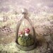 Terrarium Moss Pendant and Sterling Silver Necklace - The Enchanted Faerie Mushroom Trap
