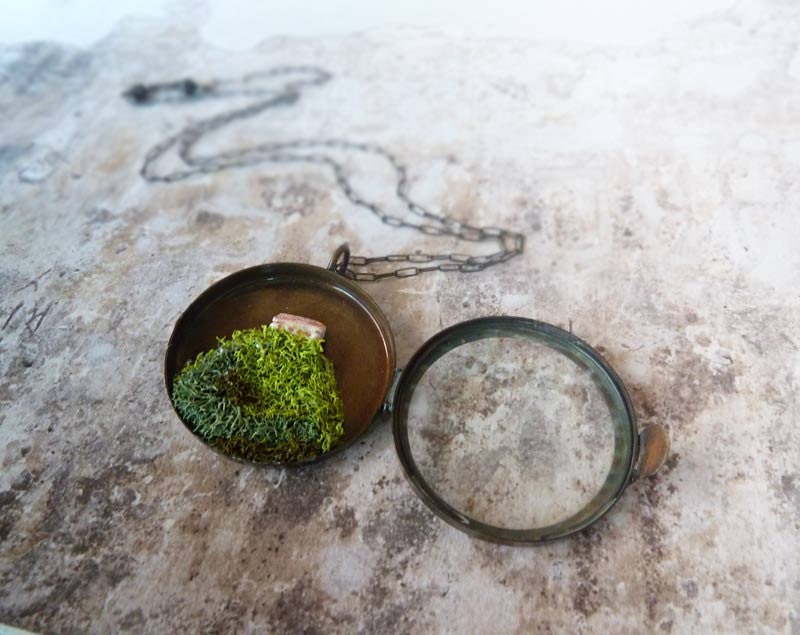 O'er the Cliffs of Dover Necklace. English Country Style. Moss Terrarium Miniature Locket Sterling Silver Chain Miniature Terrarium Jewelry