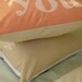 Come Fly With Me - Pillow Cover
