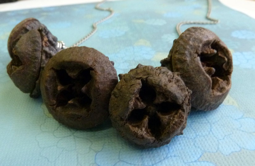Nature Girl  Pod Pendant