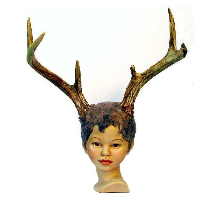 Maria the Gentle Fawn - 8 X 10 Fine Art Print
