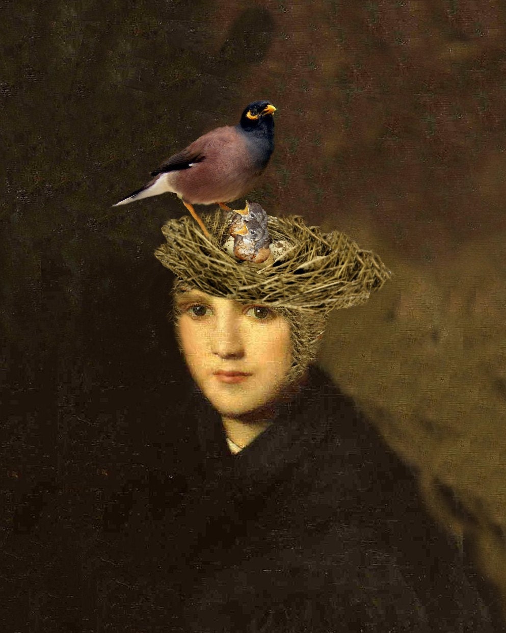 Portrait of a Bird Brain - 8 X 10 Art Print