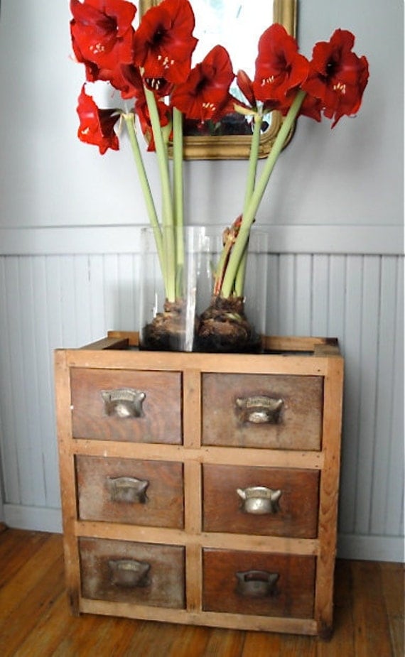 RESERVED LISTING Antique apothecary chest