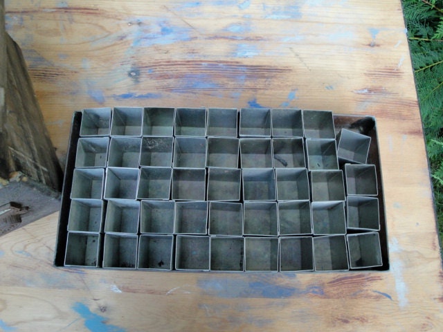 Vintage copper seedling tray with stainless inserts