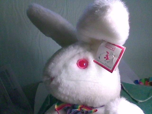 Jointed Stuffed White Bunny Rabbit -- Plays Twinkle, Twinkle Little Star