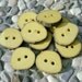 10 Kozika Tree Branch Buttons, Around 3/4" inches in diameter