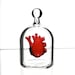 Anatomical Heart in a Jar, Hand Blown Glass Miniature, Anatomically Correct Heart