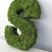 Woodland Moss Covered Monogram Letter- Small 8 Inch Using Eco-Friendly materials