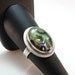 Abalone Paua Shell and Sterling Silver Statement Ring Bezel Set Multi Color