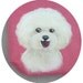 Bichon Frise Pink Suede Wristlet Hand Painted