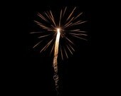 Fire flowers fine art photo fireworks sleek modern new years eve july fourth celebration time lapse colors party Dandelion seeds - brandMOJOimages