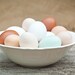 SALE Set of 4 Rustic Farm House Decor Images eggs kitchen fresh whisk beater brown white tan chicken hen bake vintage fine art photos 5x5