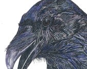 Knowing Raven        copyright 2009 Beth Surdut