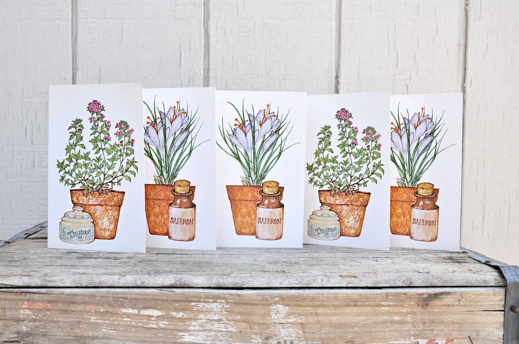 Set of 5 Thyme and Saffron Herb Blank Cards