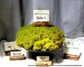 Escort Cards-Menu Cards-25 - 3" Cedar Tree Branch Wedding place card holders-Wedding Table numbers-Baby Shower place card holders