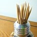 Repurposed Lightbulb Vase / Toothpick Holder (mini lightbulb)
