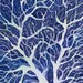 Original watercolor, Branching Out, 14 x 11 matted