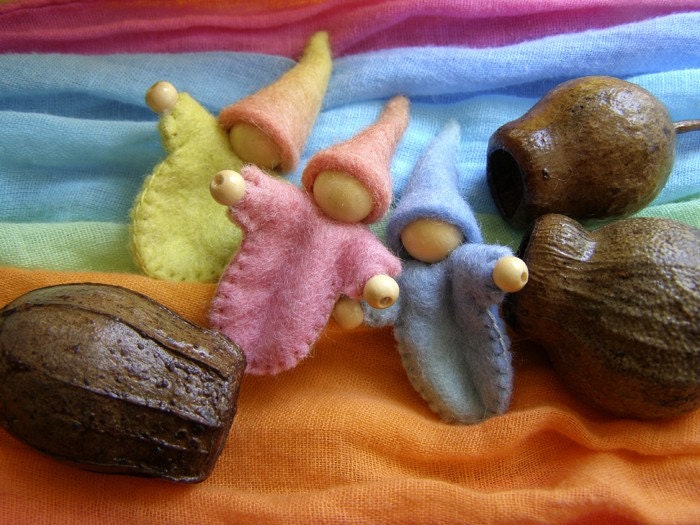 Gumnut Gnome Baby - A little felt gnome tucked gently into an Australian gumnut. - Rumpelfeltskin