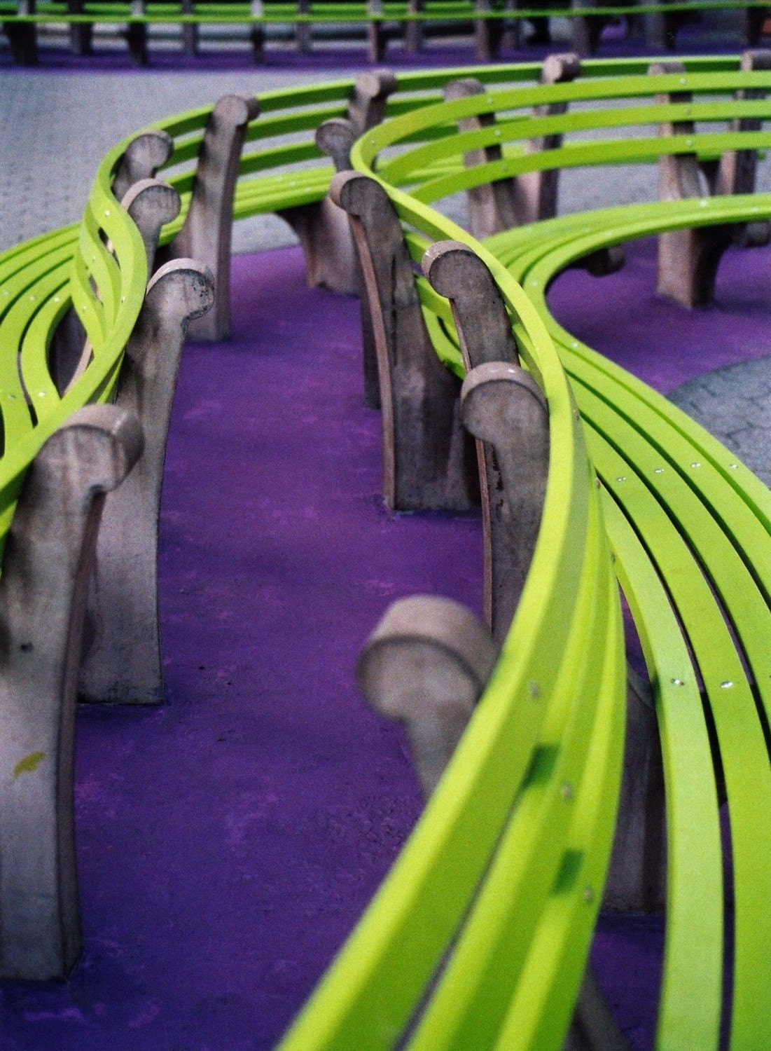 Purple and Green park bench