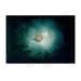 a light in the dark - cute angler fish, icon of hope in a deep dark and troubled ocean