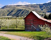 16 x 24 Full Color Photo photo near Monitor, Washington