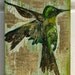 Humming Bird, acrylic on reclaimed rustic solid wood board
