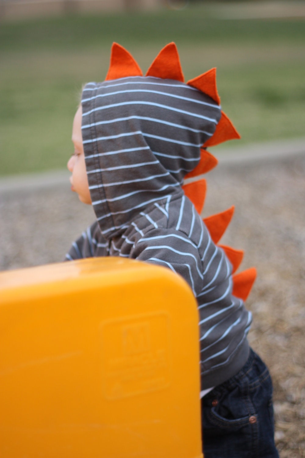 Children's Dinosaur Hoodie
