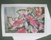Caladiums Note 5 x 7 note card Card, Greeting Card, Flower Spring Red  pink- bulb  colorful