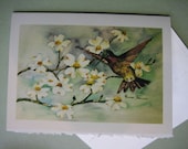 Hummingbird & Dogwoods,  Note Card, 5 x 7 Blank , Greeting Card, Hummingbird, Dogwood, watercolor print