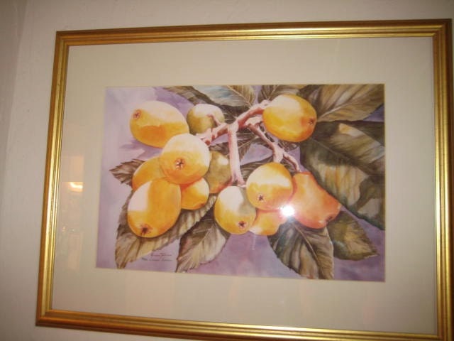 Loquats, Japanese Plumbs, 11 x 15, Watercolor, Print, Fruit, Home Decor, Decorative art, yellow, tropical