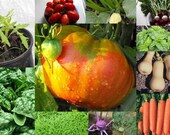 Heirloom Vegetable Seeds Garden Kit 27 Great Gift Idea On Sale