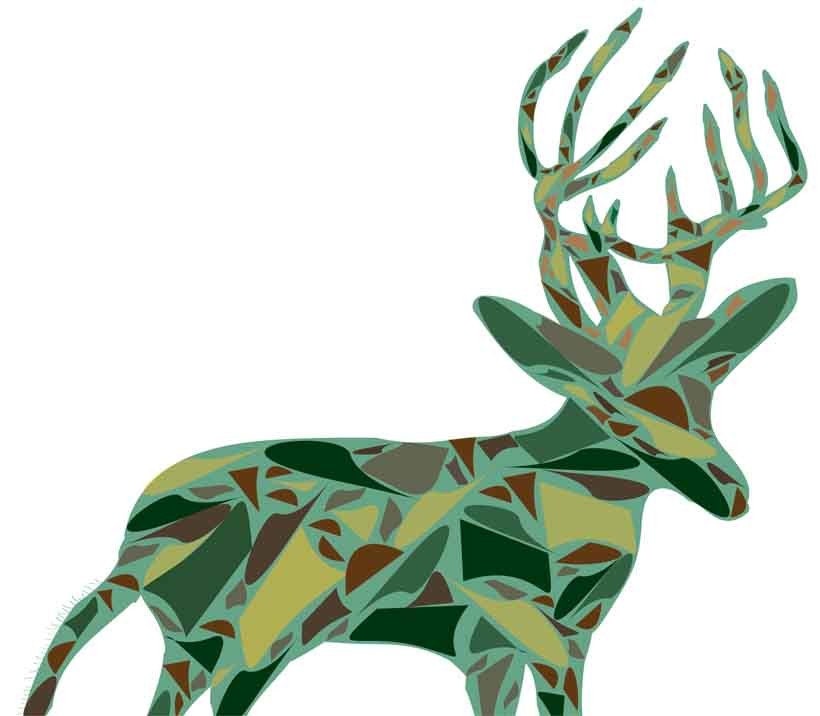 Camouflage Deer