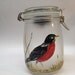 Solar Light/Sun Jar - Spring Robin and Hand Painted Wildlife Knobs - Custom Order