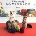 Wool felt made the cute little animals --- Japanese Craft Book