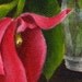 Framed Flower Painting Spring Floral Garden Art Pink Tulip