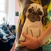 Pug Pillow