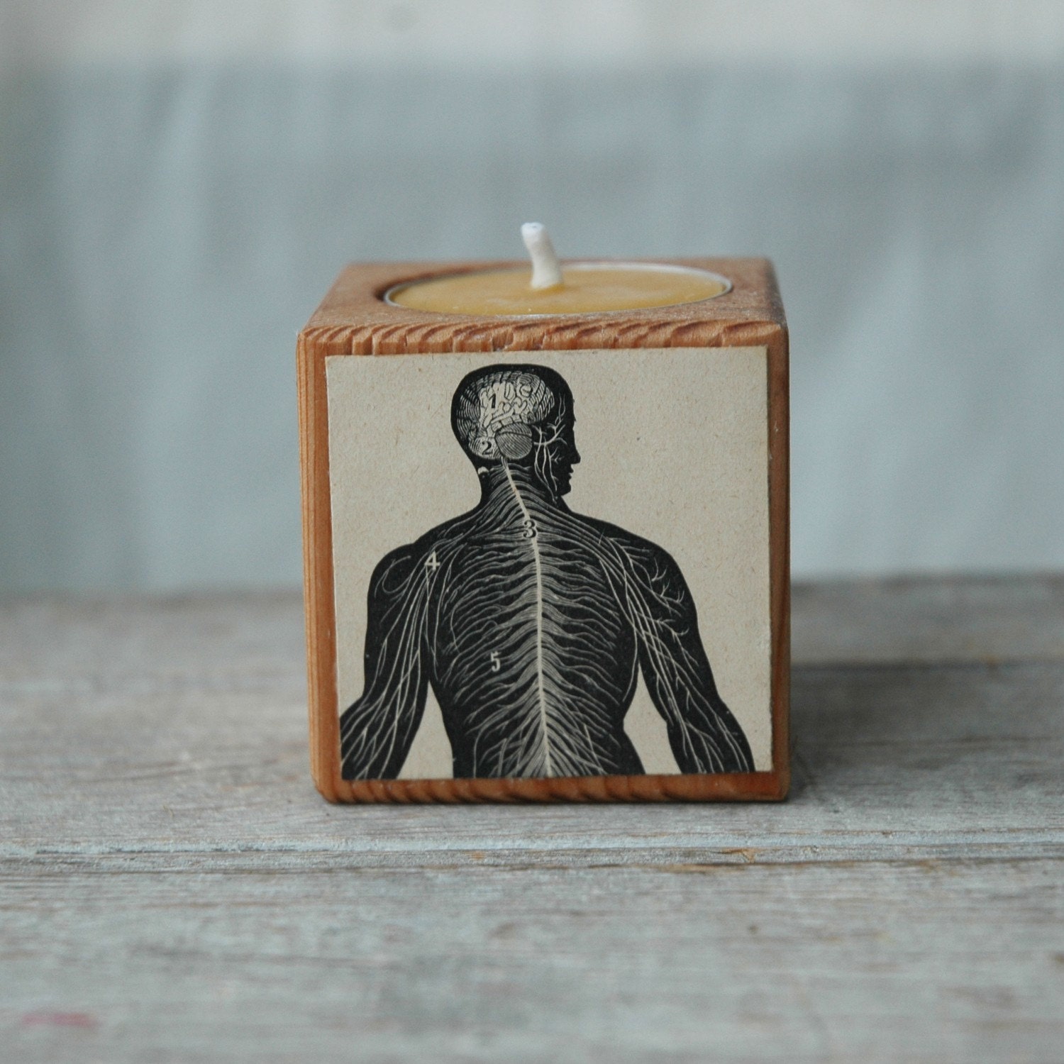 The Brain and Blood Vessels - reclaimed olde growth pine candle block.