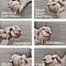 Set of 3 Black & White Photos Baseball pitches Boys Art Series