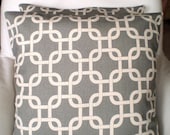 Pillows Decorative Pillows Accent Pillows Throw Pillow Cushion Covers Gray Natural Gotcha BOTH SIDES - Pair of Two 18 x 18