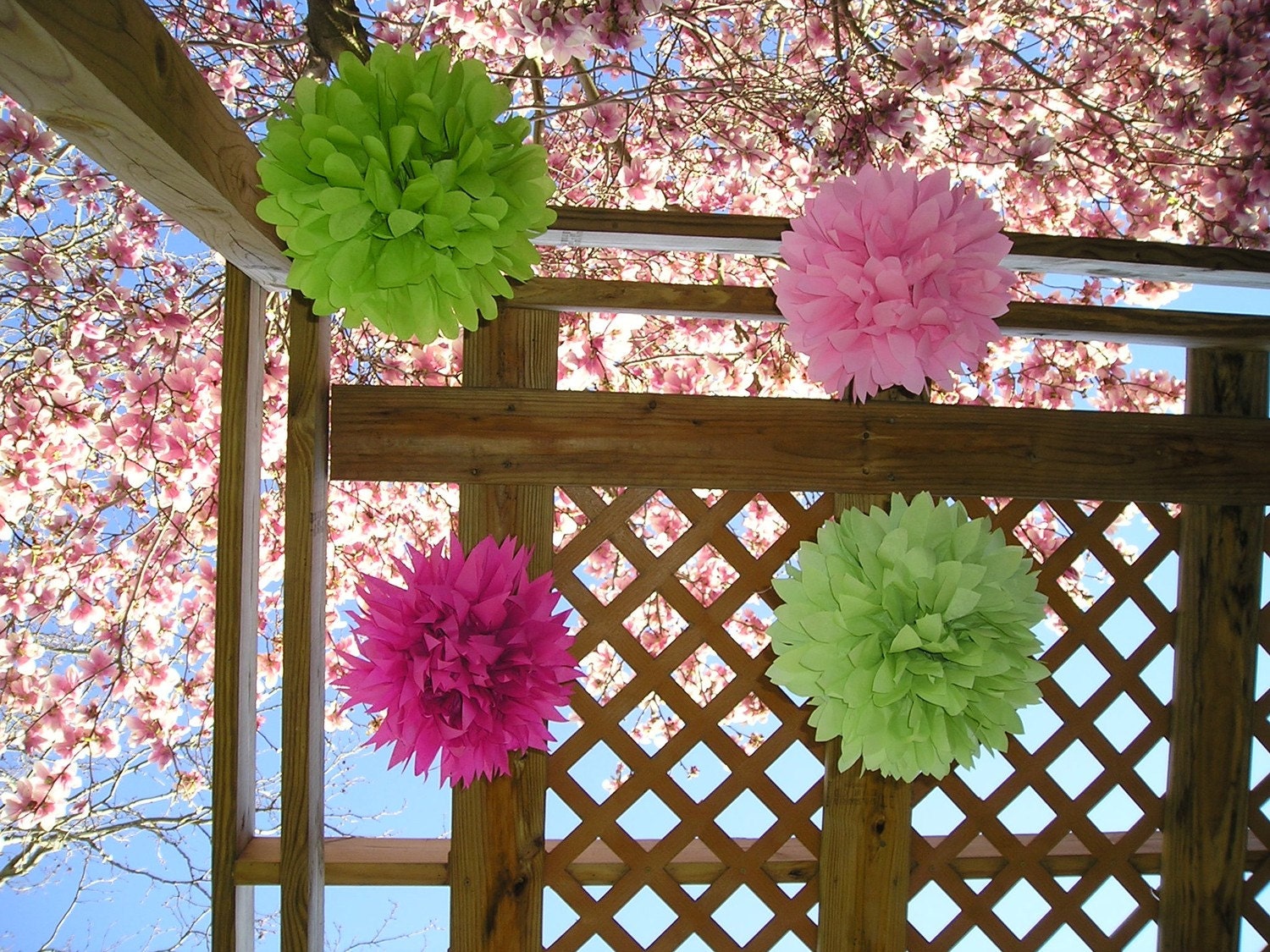 Set of 3 Poms - Get 4TH One FREE Il_170x135
