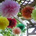SALE ...... Set of 10 Poms - Your Color Choice