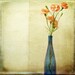 Pink Bottled Carnations Wall Decor Photography 20x20