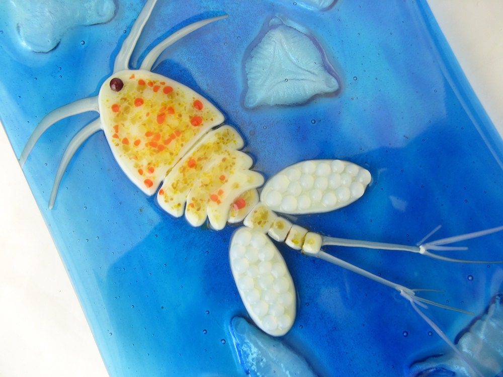 Fused Glass Plankton Plate Copepod Diatoms