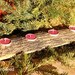 Log Candle Holder Rustic Wedding Cabin Decor Table Piece Slab Ash Wood